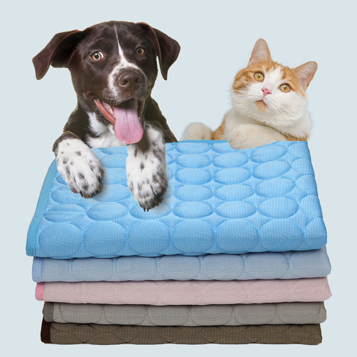 Calming Dog Bed - Evcil Hayvanlar İçin Yazlık Buz Matı,