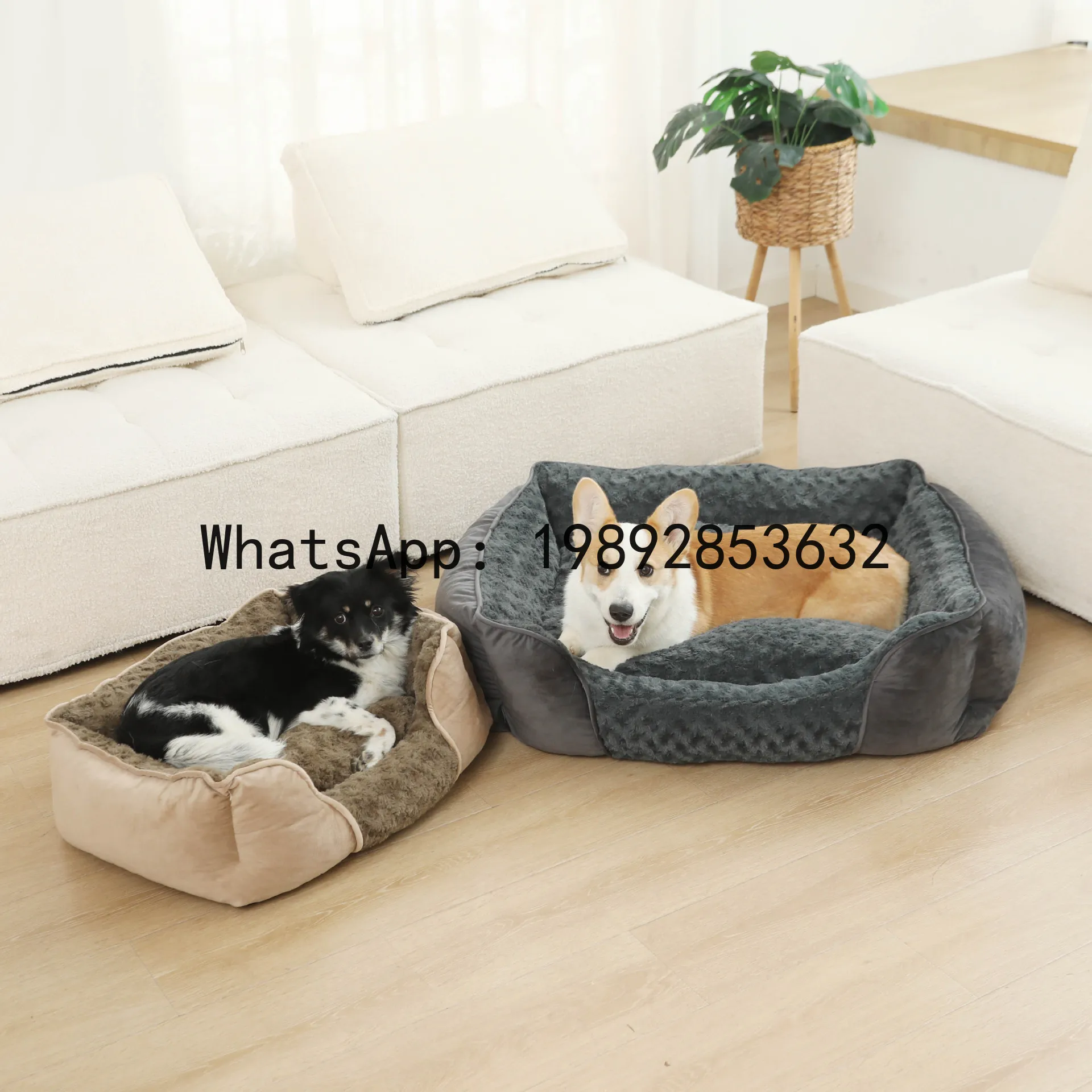 Pet X Supplies & Tack Reviews - X kedi evi yarı kapalı köpek