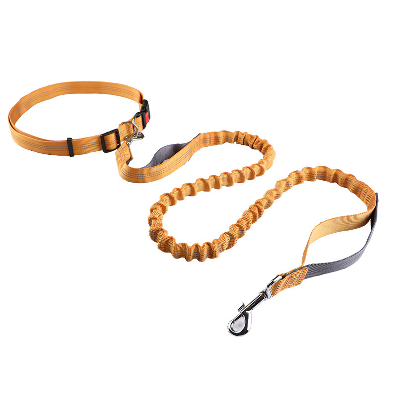 Retractable Dog Leash - Evcil hayvan tasması Koşu tasması, geri