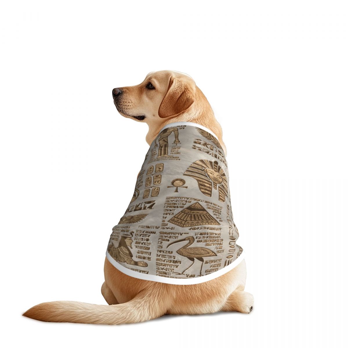 Pet Supplies Egypt - Mısır hiyeroglifleri ve tanrılar evcil hayvan