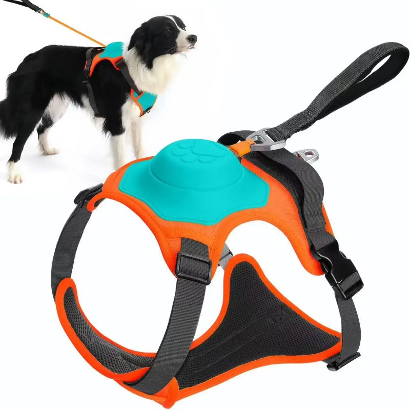 Retractable Dog Leash - Entegre Köpek Tasması ve Geri Çekilebilir