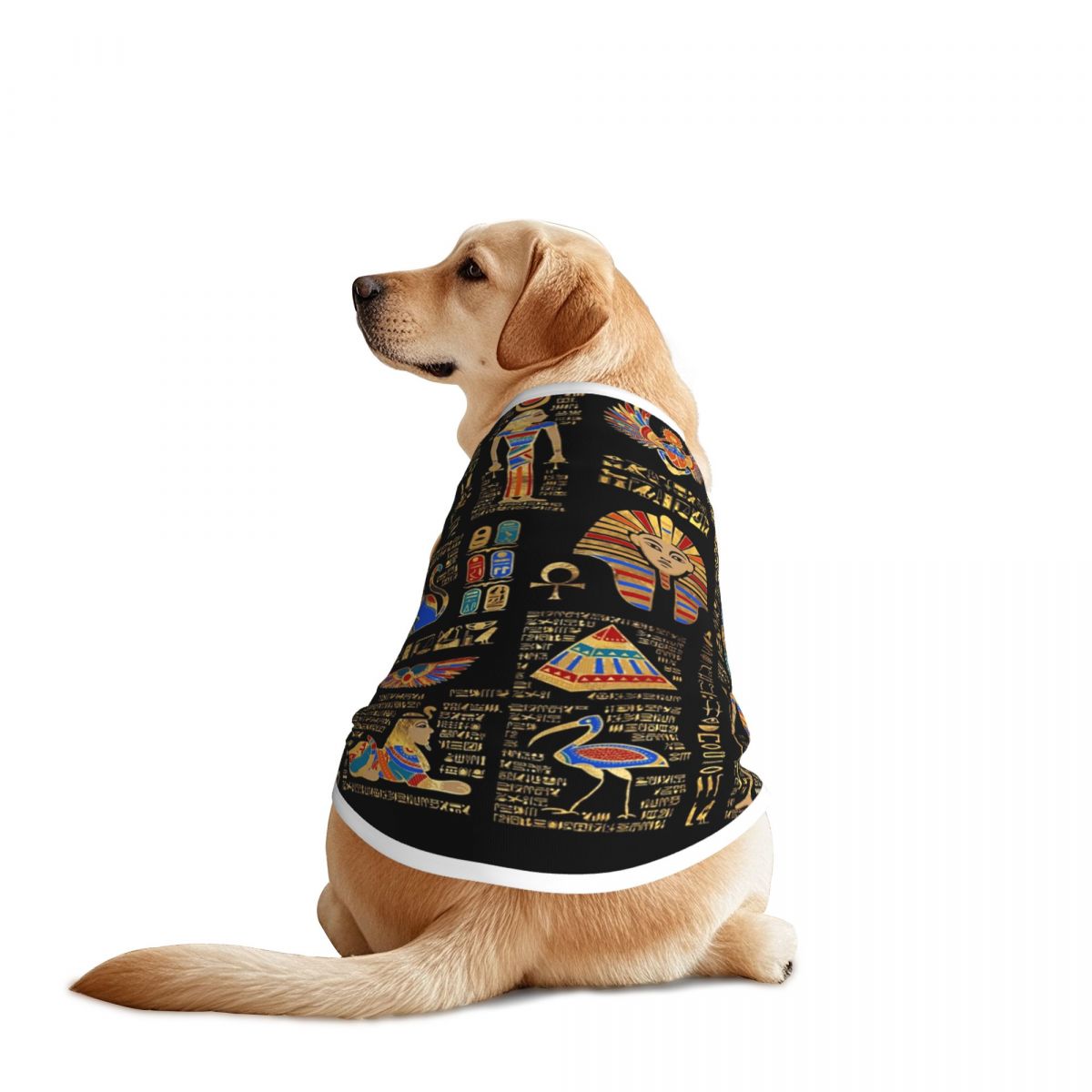 Pet Supplies Egypt - Mısır Hiyeroglifleri Ve Tanrılar evcil hayvan