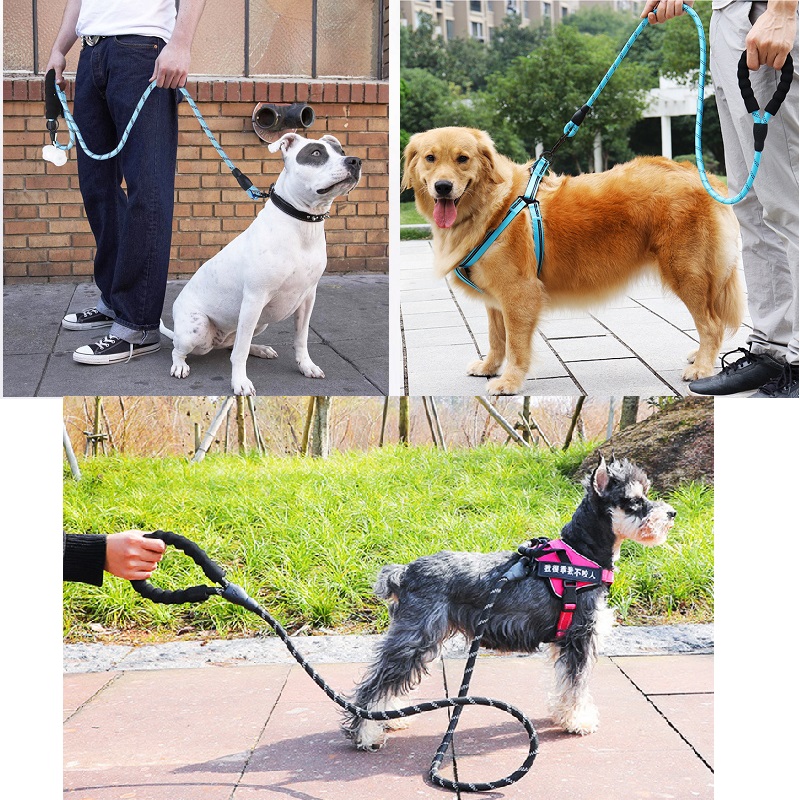 120/150/200/300 CM Yansıtıcı K - Retractable Dog Leash incelemesi ve fiyatı