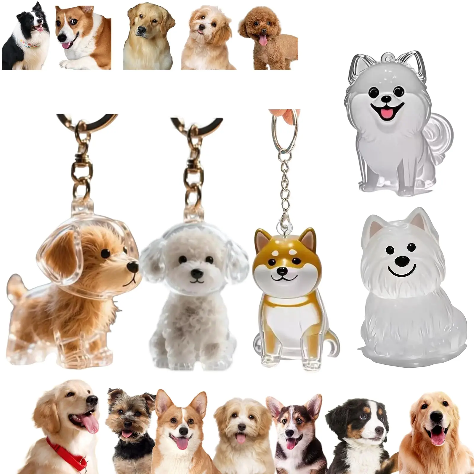 Şeffaf evcil hayvan anıt kolye - Pet Supplies Outlet incelemesi ve fiyatı