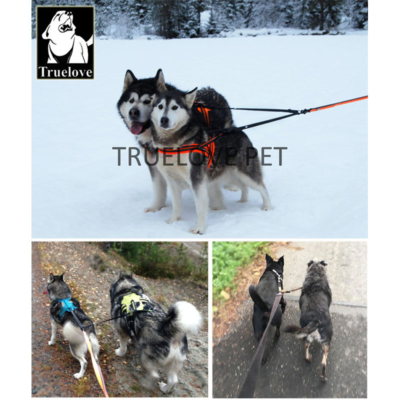 Truelove Naylon Çift Köpek Tas - Retractable Dog Leash incelemesi ve fiyatı