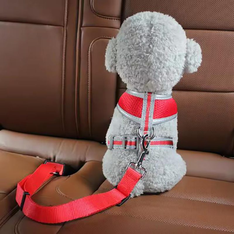 Köpek emniyet kemerleri sıcak  - Retractable Dog Leash incelemesi ve fiyatı