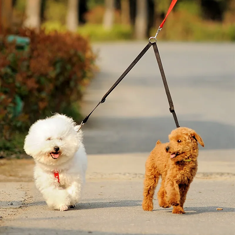 Açık Yürüyüş Iki Köpek Tasma Ç - Retractable Dog Leash incelemesi ve fiyatı