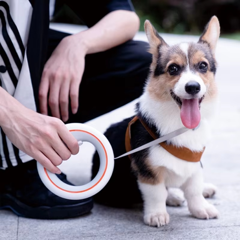 Muhteşem UFO SezavoCu 가구 Gonzб - Retractable Dog Leash incelemesi ve fiyatı