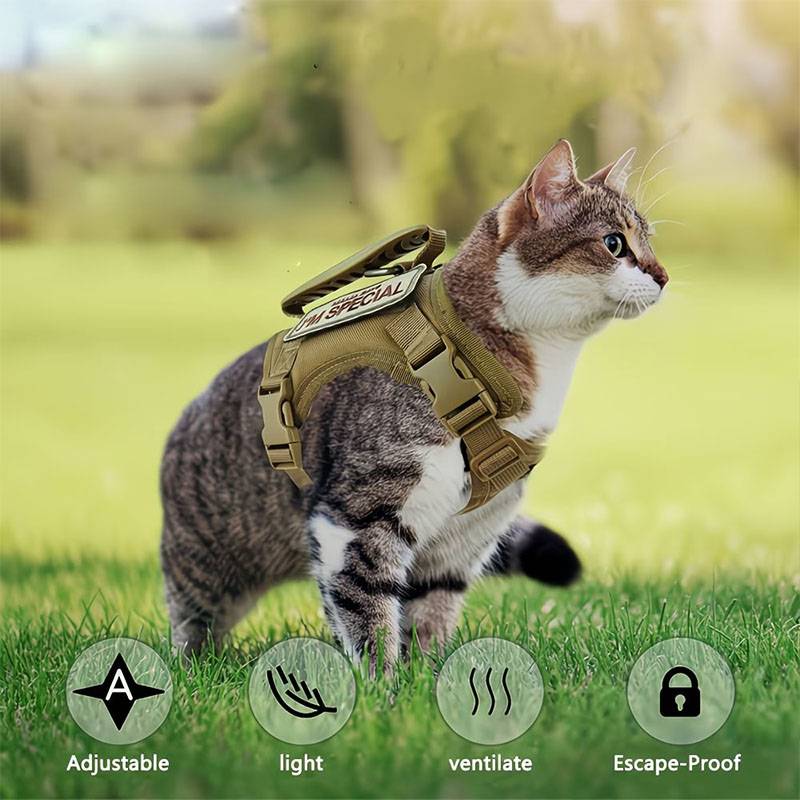 Nefes Alabilen Taktik Evcil Ha - Retractable Dog Leash incelemesi ve fiyatı