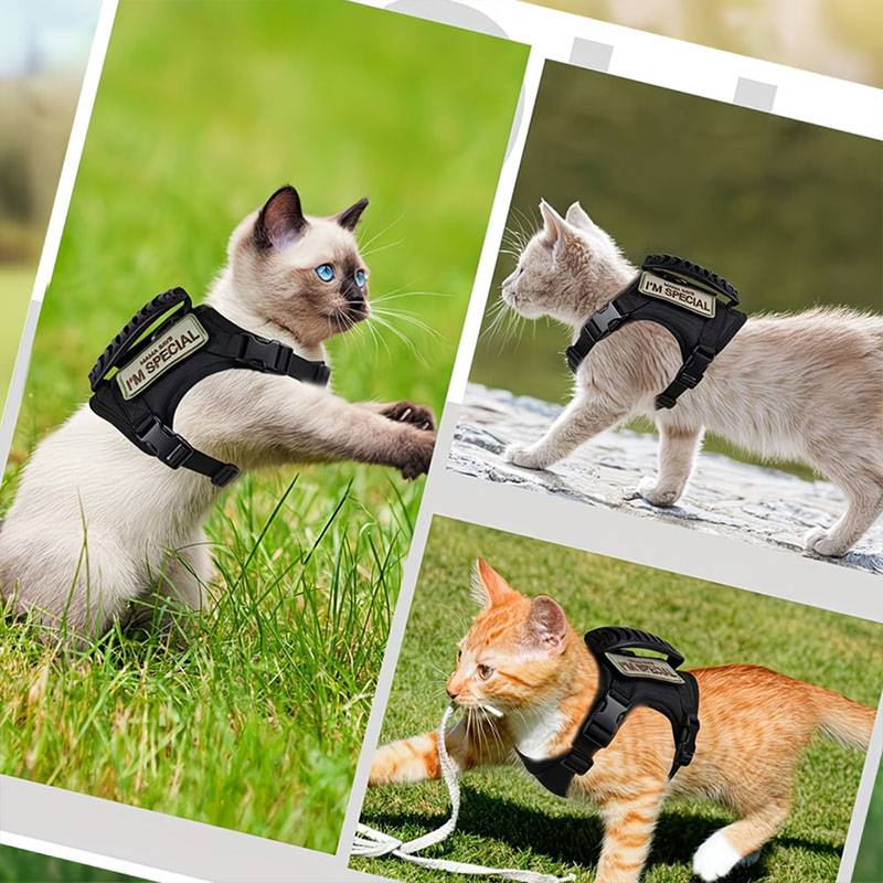 Nefes Alabilen Taktik Evcil Ha - Retractable Dog Leash incelemesi ve fiyatı