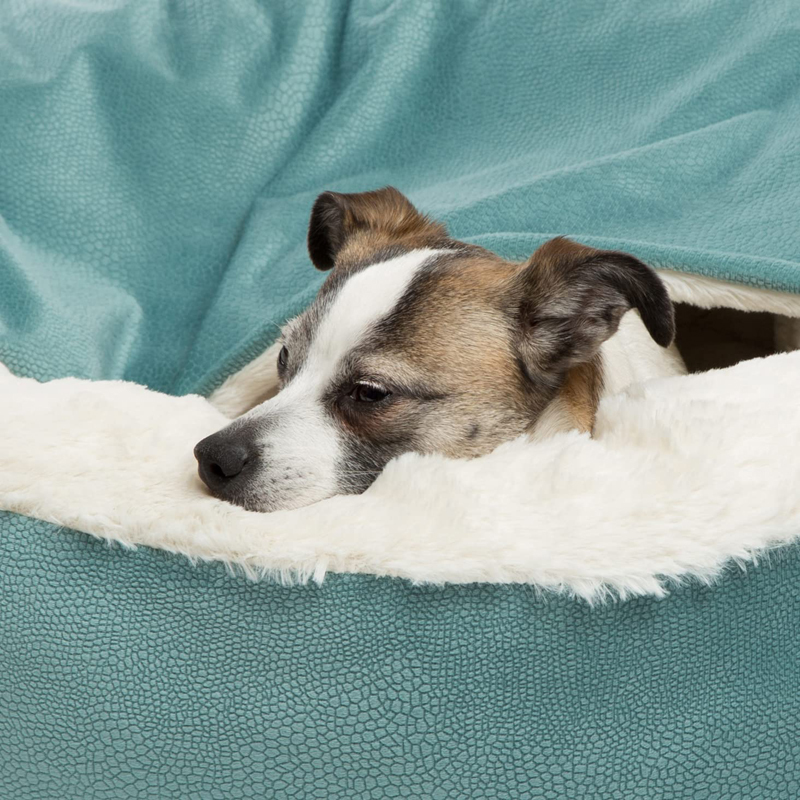 Benepaw Ortopedik Köpek Yatağı - Calming Dog Bed incelemesi ve fiyatı