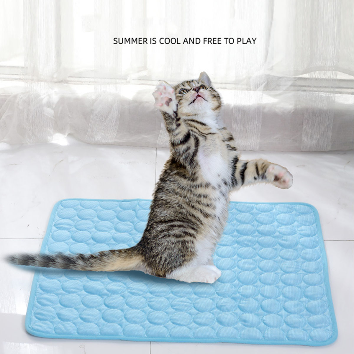 Evcil Hayvanlar İçin Yazlık Bu - Calming Dog Bed incelemesi ve fiyatı
