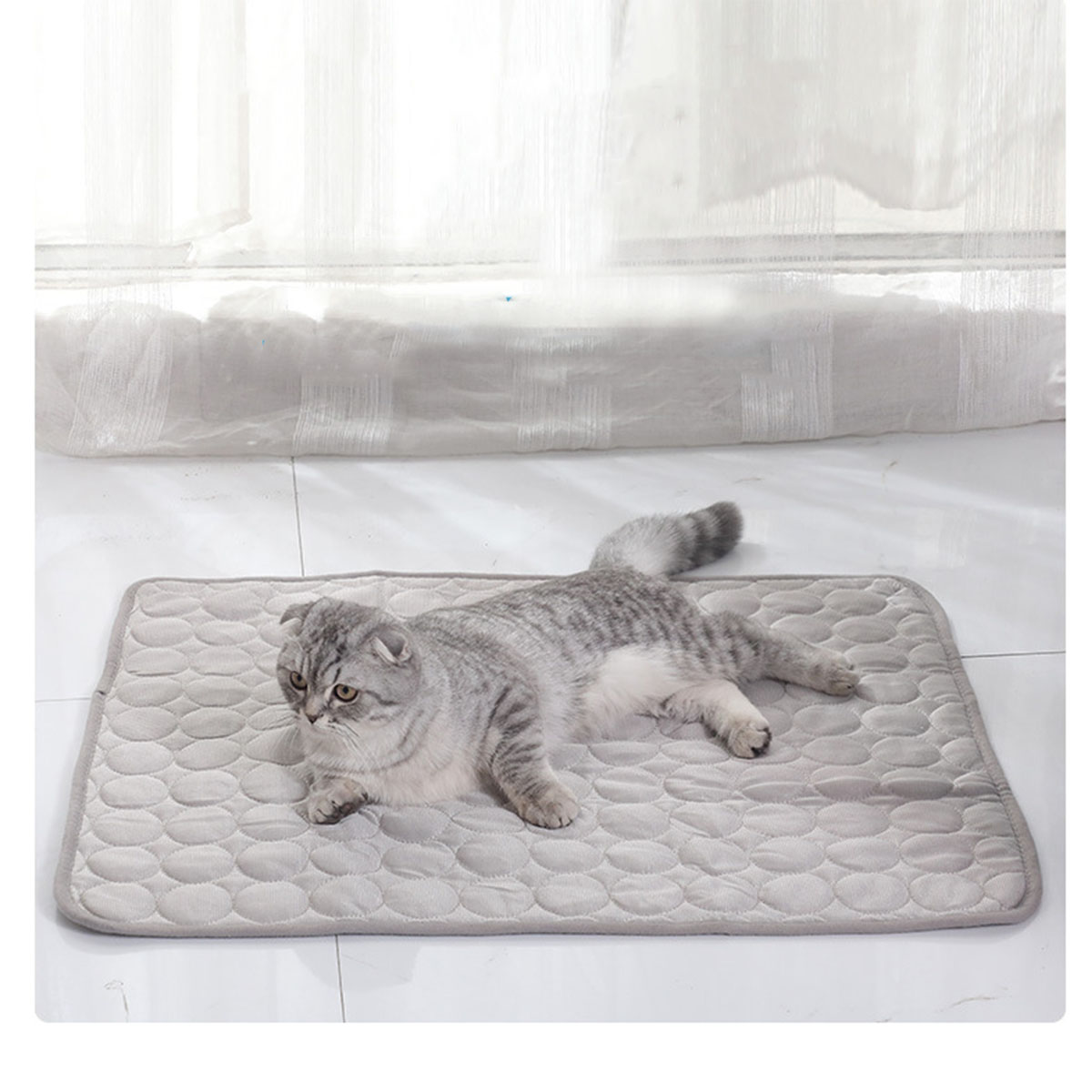 Evcil Hayvanlar İçin Yazlık Bu - Calming Dog Bed incelemesi ve fiyatı