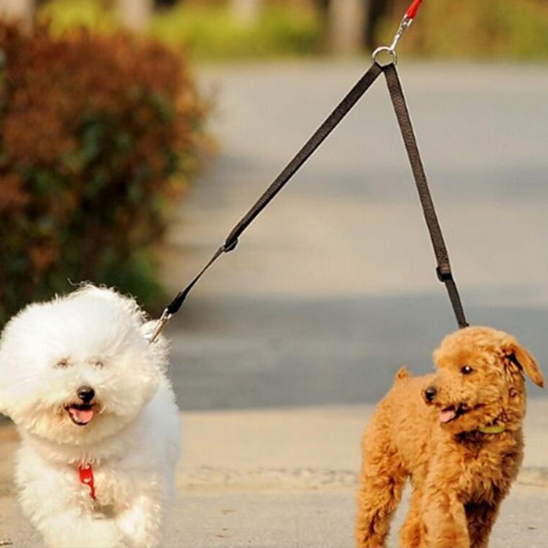1 adet çift ikiz çift çoğaltıc - Retractable Dog Leash incelemesi ve fiyatı