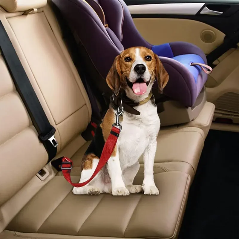 Evcil Köpek Araba Emniyet Keme - Retractable Dog Leash incelemesi ve fiyatı