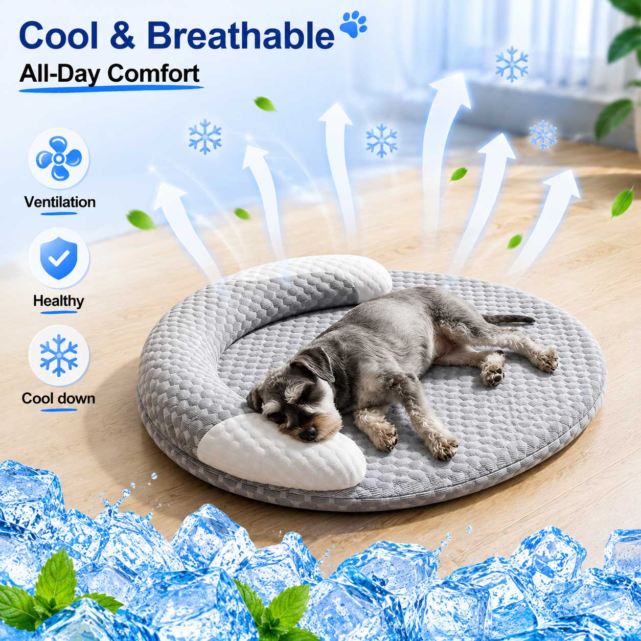 Yazlık Buz İpek Serinletici Kö - Calming Dog Bed incelemesi ve fiyatı