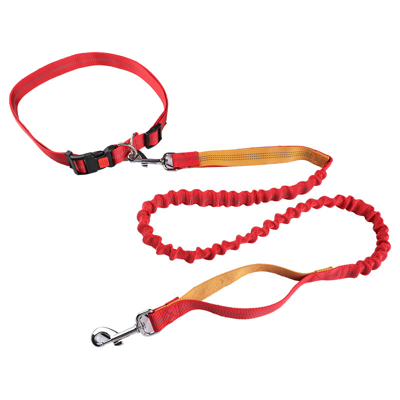 Evcil hayvan tasması Koşu tasm - Retractable Dog Leash incelemesi ve fiyatı