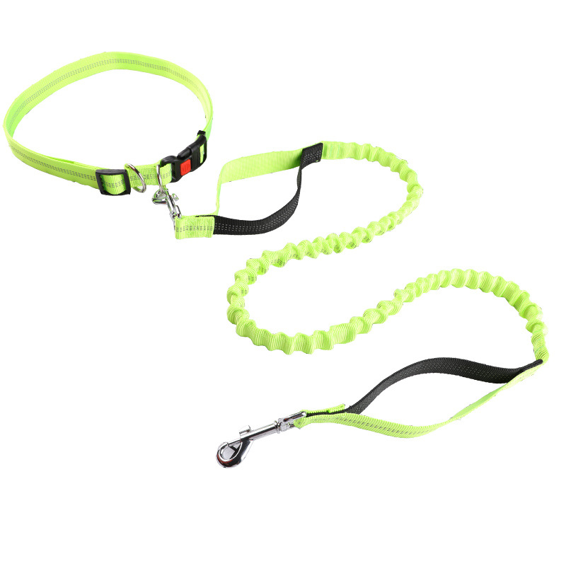 Evcil hayvan tasması Koşu tasm - Retractable Dog Leash incelemesi ve fiyatı