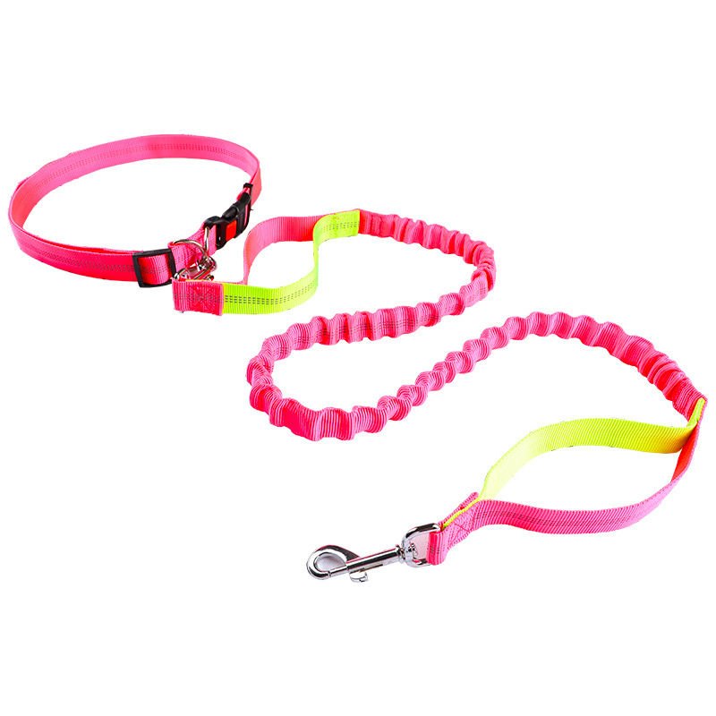 Evcil hayvan tasması Koşu tasm - Retractable Dog Leash incelemesi ve fiyatı