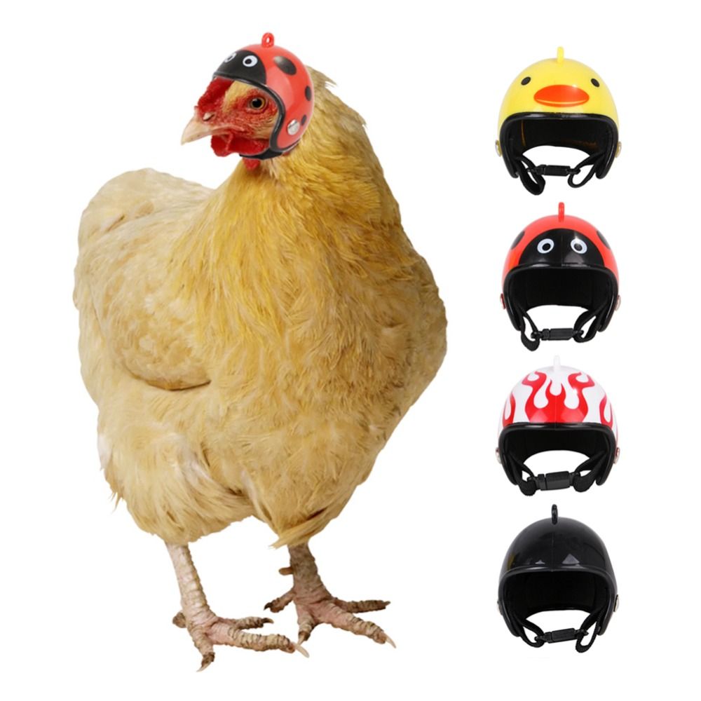 ABS Evcil Hayvan Malzemeleri K - Pet X Supplies & Tack Reviews incelemesi ve fiyatı