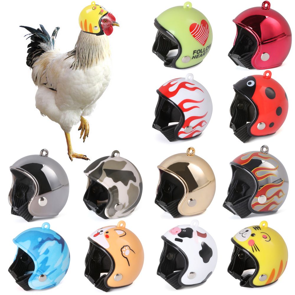 ABS Evcil Hayvan Malzemeleri K - Pet X Supplies & Tack Reviews incelemesi ve fiyatı