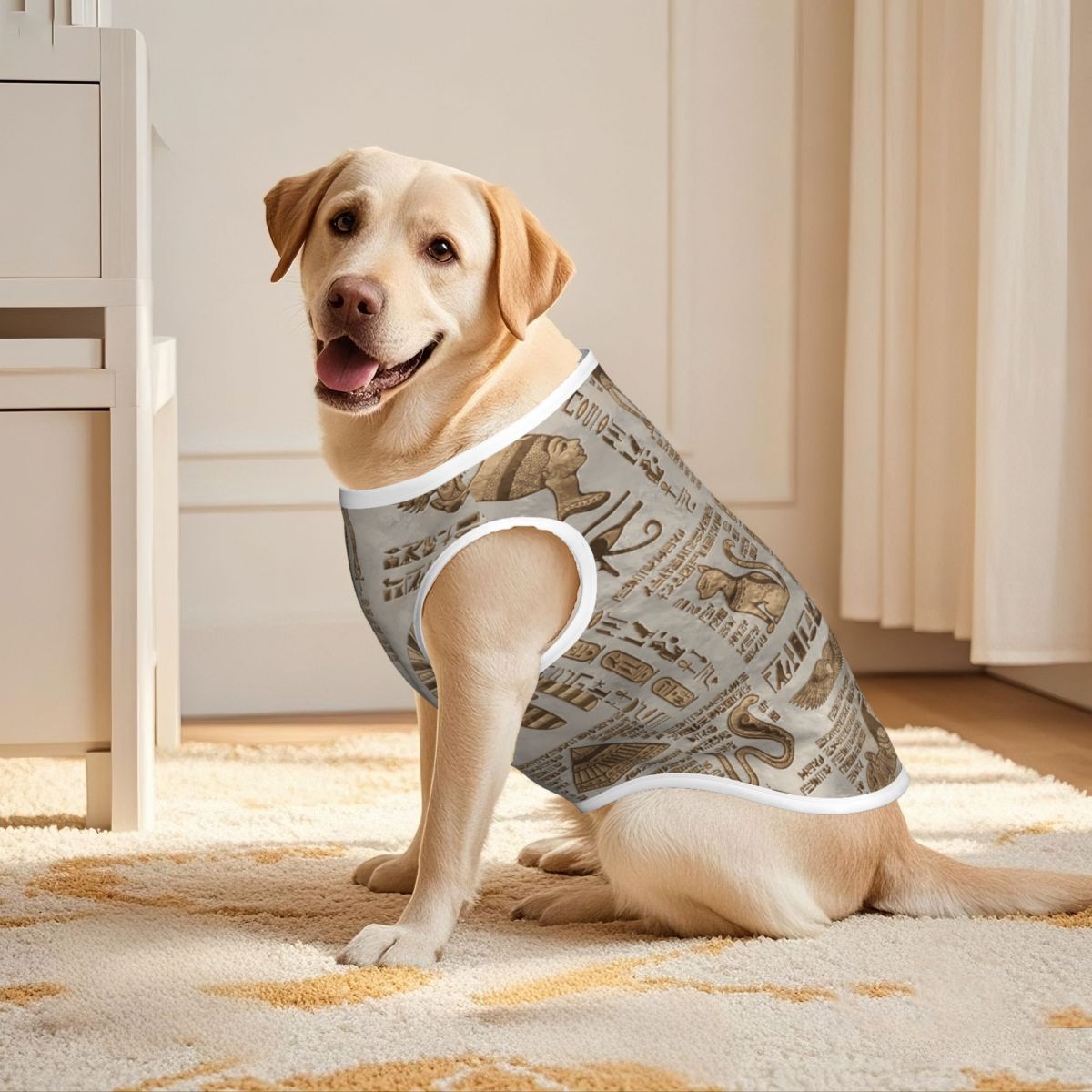 Mısır hiyeroglifleri ve tanrıl - Pet Supplies Egypt incelemesi ve fiyatı