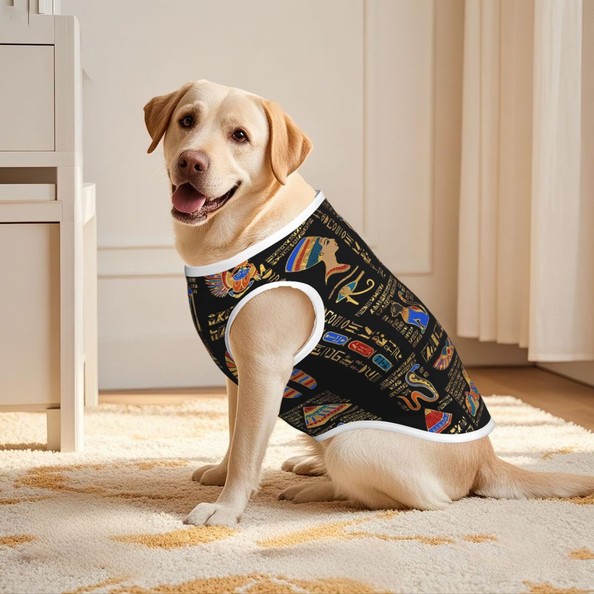 Mısır Hiyeroglifleri Ve Tanrıl - Pet Supplies Egypt incelemesi ve fiyatı
